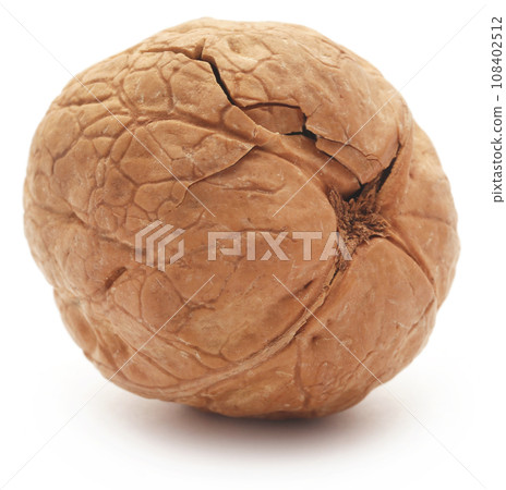 Walnut 108402512