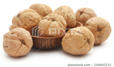 Walnut 108402522