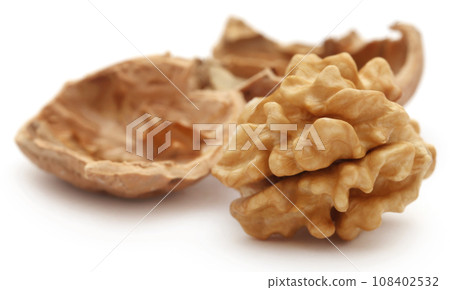 Walnut Walnut 108402532