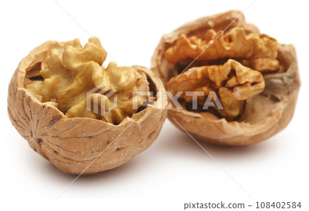 Walnut isolated 108402584