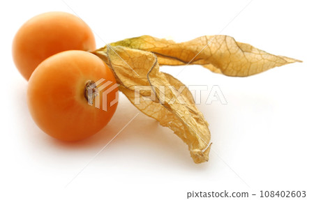 Fresh edible physalis Fresh edible physalis 108402603