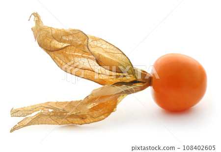 Fresh edible physalis 108402605