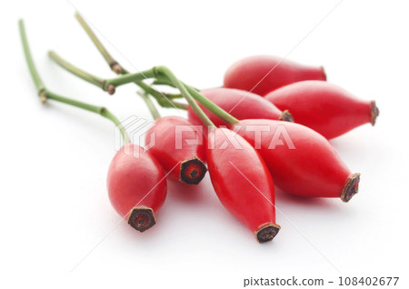 Rose hips 108402677