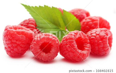 Fresh Raspberry Fresh Raspberry 108402815