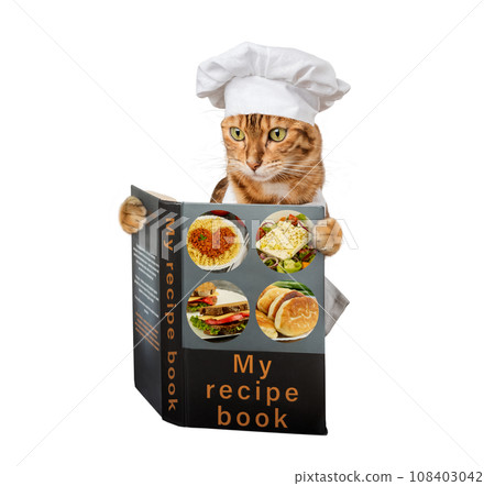 Cat chef with a cookbook on a transparent background. Cat chef with a cookbook on a transparent background. 108403042