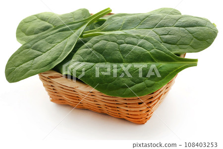Fresh Spinach Fresh Spinach 108403253