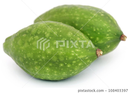 Fresh green medicinal haritaki fruits Fresh green medicinal haritaki fruits 108403397