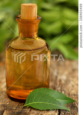Medicinal neem leaves with essential oil Medicinal neem leaves with essential oil 108403499