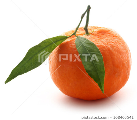 Fresh orange with green leaf Fresh orange with green leaf 108403541