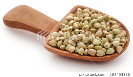 Buckwheat over white background 108403586