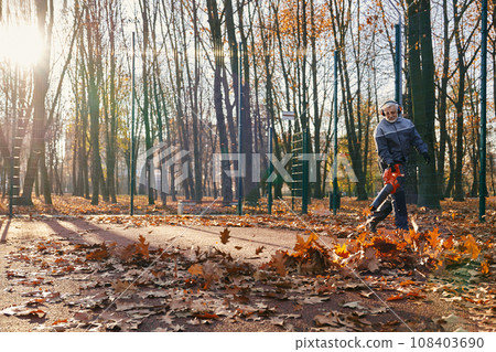 Senior gardener walking with leaf blower to clean up public area from leaves in autumn. Front view of focused bearded man working in city park, removing leaves in morning. Concept of work, fall. Senior gardener walking with leaf blower to clean up public area from leaves in autumn. Front view of focused bearded man working in city park, removing leaves in morning. Concept of work, fall. 108403690