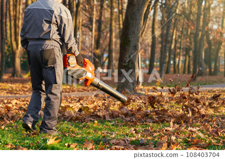 Unrecognizable male worker using leaf blower in city park in fall. Back view of strong man wearing protective overalls blowing out dry leaves from green lawn. Concept of seasonal work. Unrecognizable male worker using leaf blower in city park in fall. Back view of strong man wearing protective overalls blowing out dry leaves from green lawn. Concept of seasonal work. 108403704