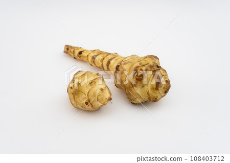 Round Jerusalem artichoke and long Jerusalem artichoke 108403712