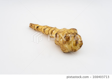 long Jerusalem artichoke 108403713