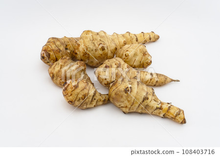 很多耶路撒冷洋薊 108403716