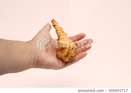 女人手掌上的長菊芋 108403717