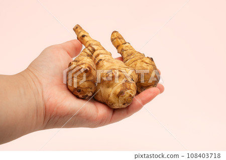 女人手掌上的三顆菊芋 108403718