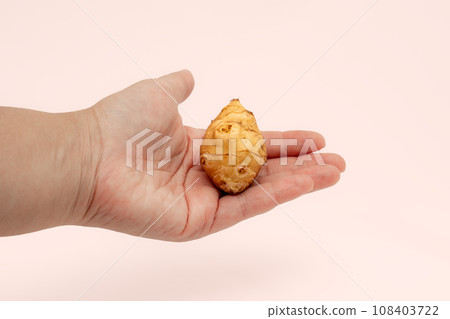 Round Jerusalem artichoke on a woman's palm 108403722