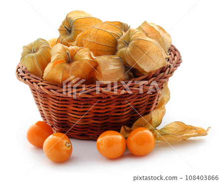 Fresh edible physalis 108403866