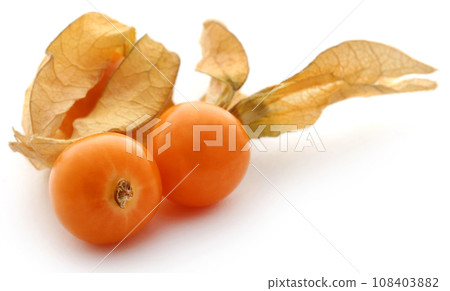 Fresh edible physalis Fresh edible physalis 108403882