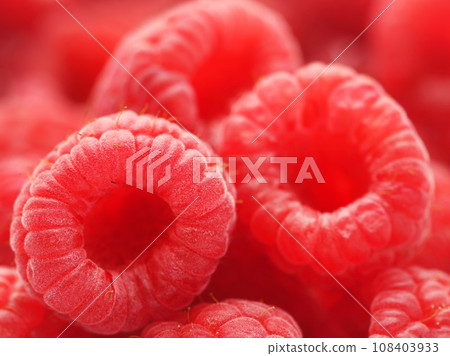 Fresh Raspberry Fresh Raspberry 108403933