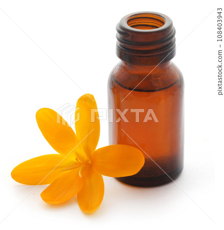 Yellow Crocus with essential oil Yellow Crocus with essential oil 108403943