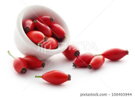Rose hips Rose hips 108403944