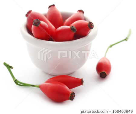 Rose hips Rose hips 108403949