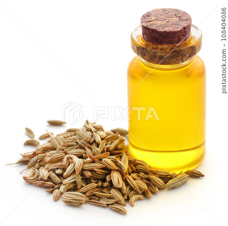Fennel seeds with essential oil in a bottle Fennel seeds with essential oil in a bottle 108404086