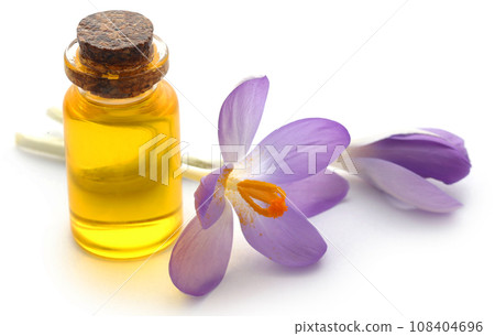 Saffron crocus flower with extract 108404696