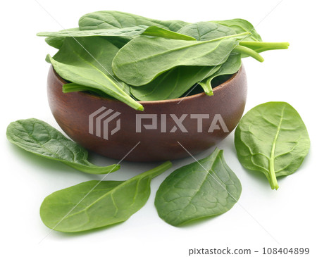 Fresh Spinach 108404899