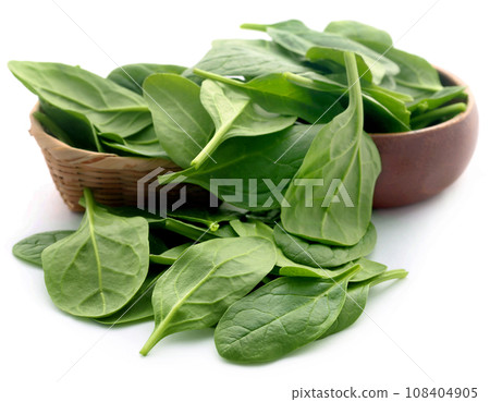 Fresh Spinach Fresh Spinach 108404905