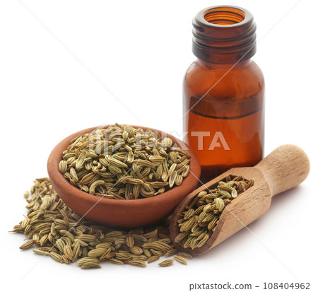 Fennel seeds with essential oil 108404962