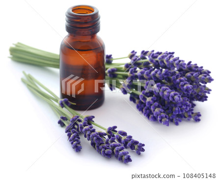 Lavender oil with flower 108405148