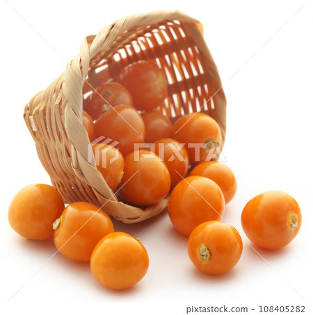Fresh edible physalis Fresh edible physalis 108405282