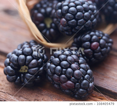 Fresh blackberries Fresh blackberries 108405479