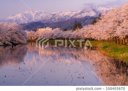 【新潟縣】櫻花盛開,春天的高田城跡公園 【新潟縣】櫻花盛開,春天的高田城跡公園 108405670