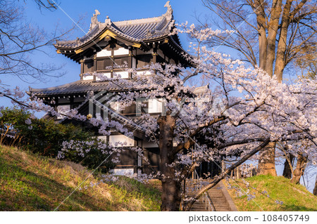 【新潟縣】櫻花盛開，春天的高田城跡公園 108405749