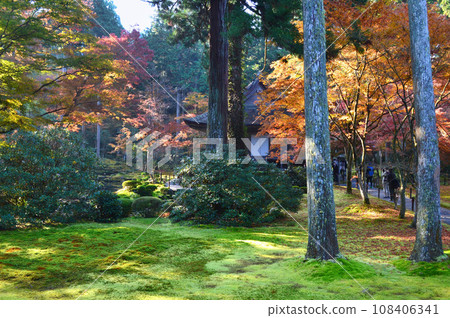 京都市大原三千院遊青園錦秋 108406341