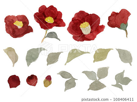 Cute camellia material painted in watercolor 108406411