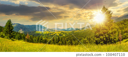 panorama of a mountainous landscape with coniferous forest on a meadow at sunset. beautiful countryside scenery in evening light 108407110
