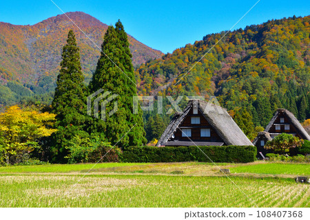 秋天的白川鄉荻町地區 108407368