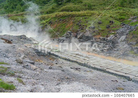 玉川溫泉公園自然研究之路湯之花 108407665