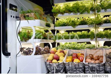 Optical vegetable factory Optical vegetable factory 108407736