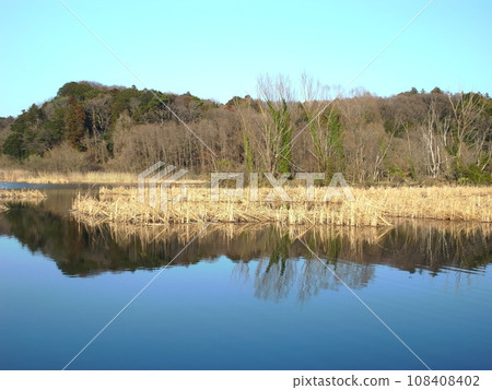 21世紀森林廣場的千堀池塘與森林風景早春 21世紀森林廣場的千堀池塘與森林風景早春 108408402