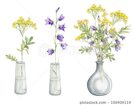 Watercolor botanical illustration on isolate white background. Clipart of meadow and forest flowers in a glass vase. Yellow field flowers - common tansy and buttercup. Bluebell and stellaria holostea Watercolor botanical illustration on isolate white background. Clipart of meadow and forest flowers in a glass vase. Yellow field flowers - common tansy and buttercup. Bluebell and stellaria holostea 108409119