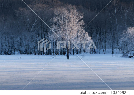 A tree A tree 108409263