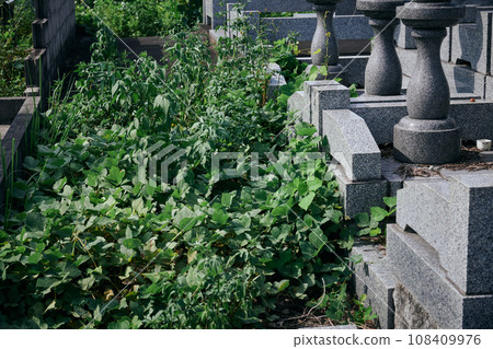 墓園長滿雜草 108409976