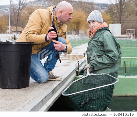 Owner of fish farm with worker checking sturgeons Owner of fish farm with worker checking sturgeons 108410119