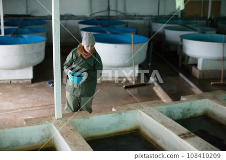 Woman feeding fish in tanks on farm Woman feeding fish in tanks on farm 108410209